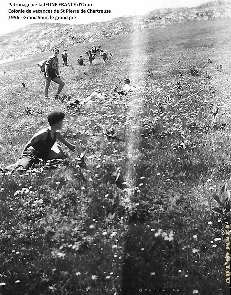 COLO JEUNE FRANCE 1956 grand Som, le grand pre.jpg